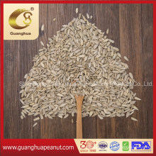 Sunflower Seeds Kernels Confectionery Grade New Crop